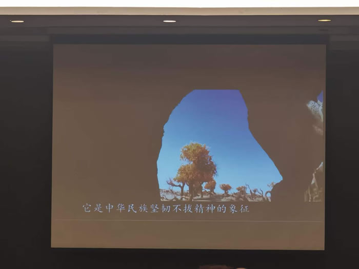 綿陽中旅行假日旅行社舉行胡楊林、南疆專列推薦會(huì)